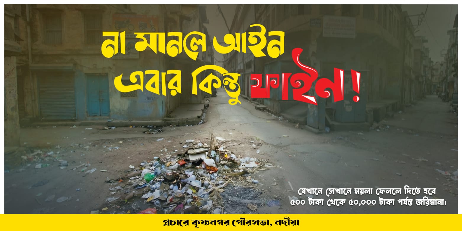 Inside Post Content (After X Paragraph)